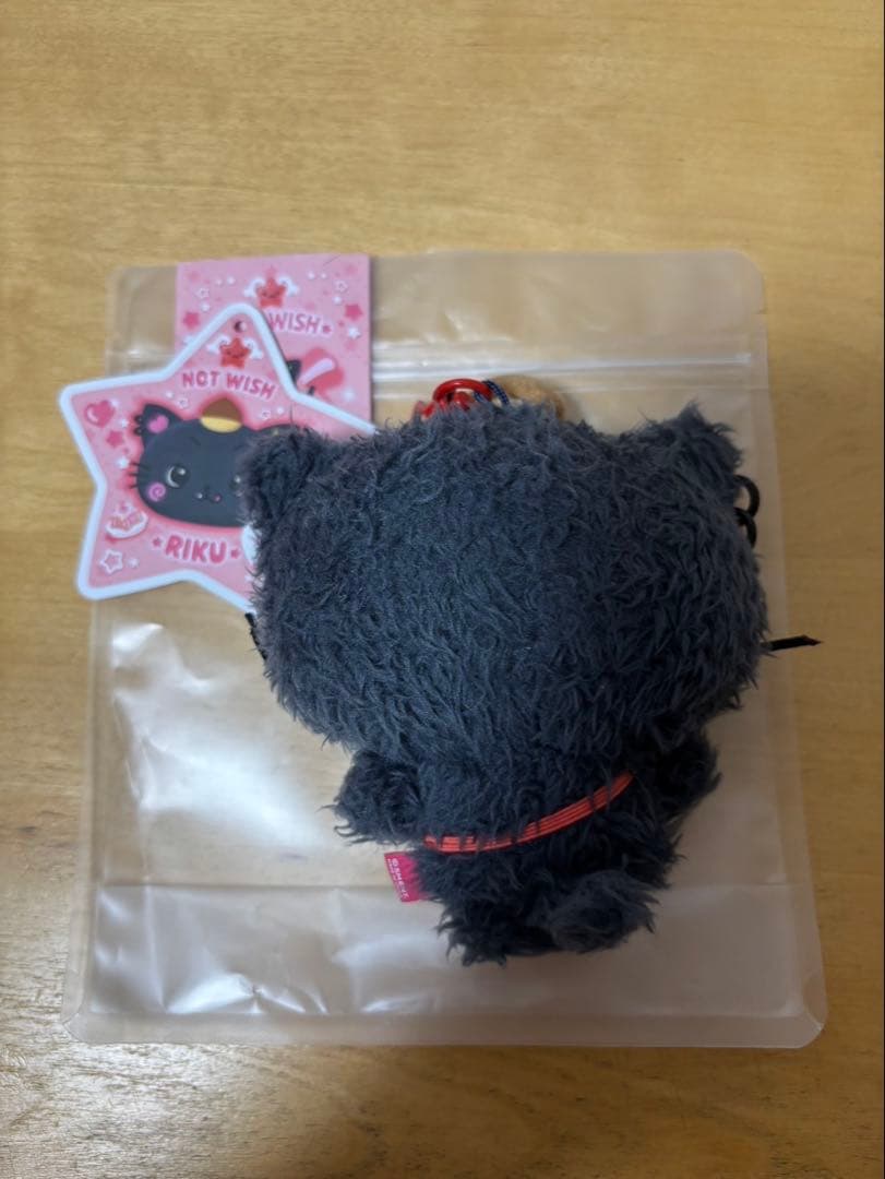 NCT WISH DOLL ぬいぐるみ リク RIKU 猫型ぬいぐるみ - メルカリ