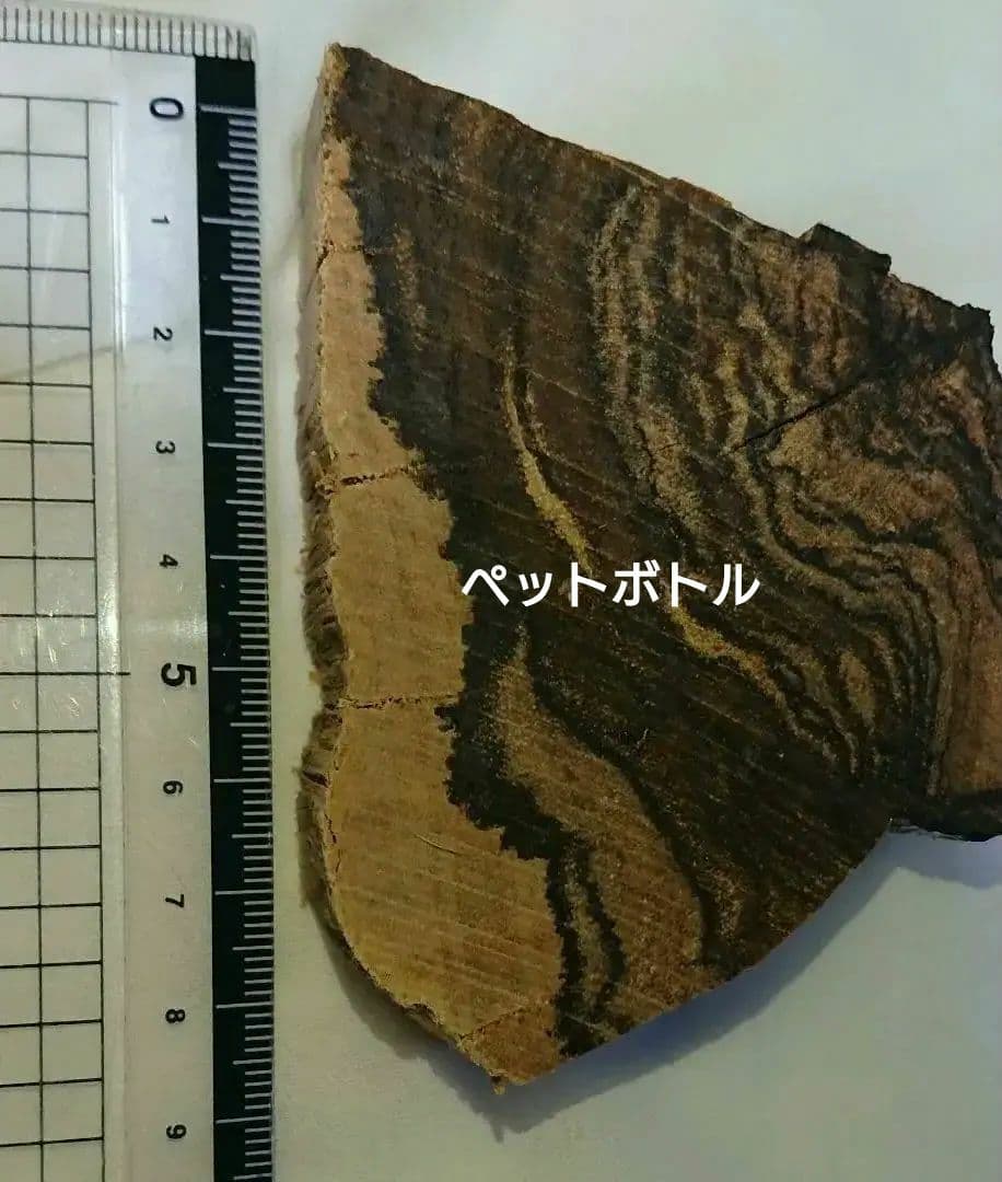 カンボジア 黄熟香