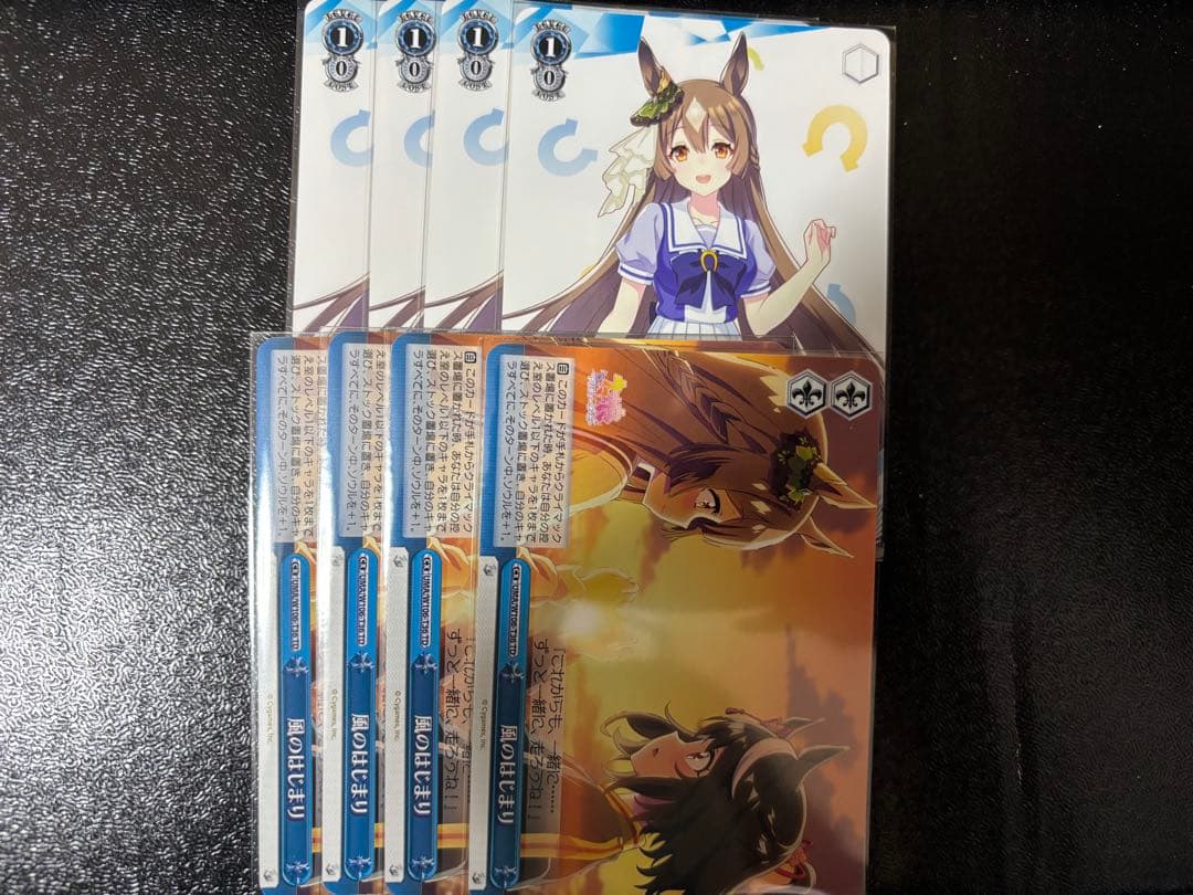 ウマ娘 ジンクスに挑むお嬢様 サトノダイヤモンド 風のはじまり 8枚