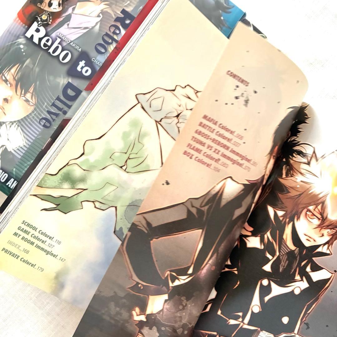 家庭教師ヒットマンREBORN! ファン必見 公式ブック 3冊セット 天野明