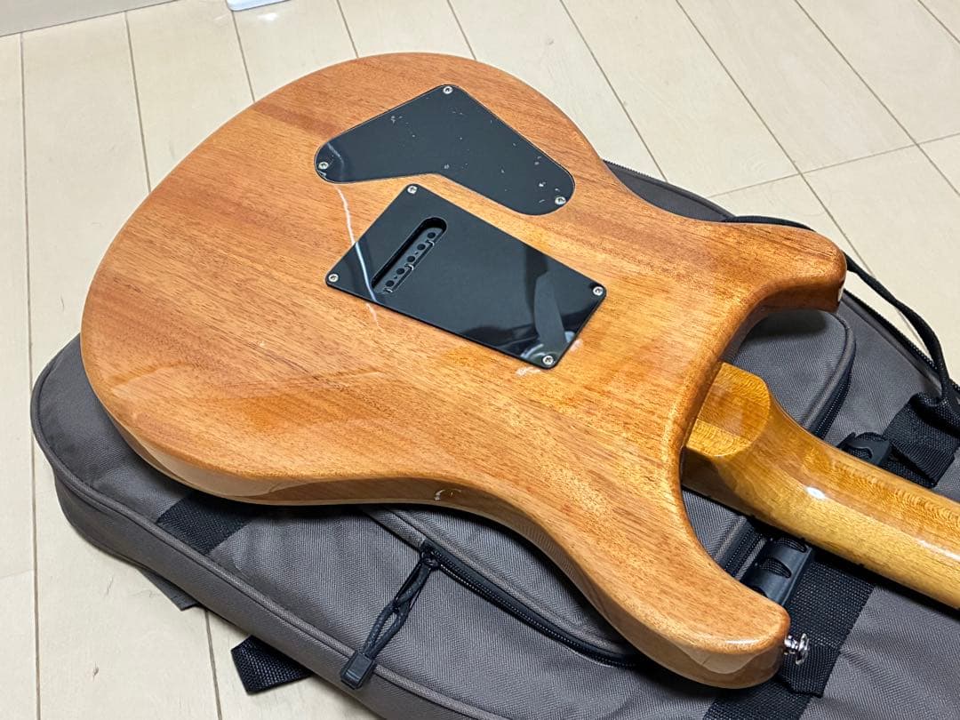 PRS SE custom24 メイプル指板 Paul Reed Smith - メルカリ