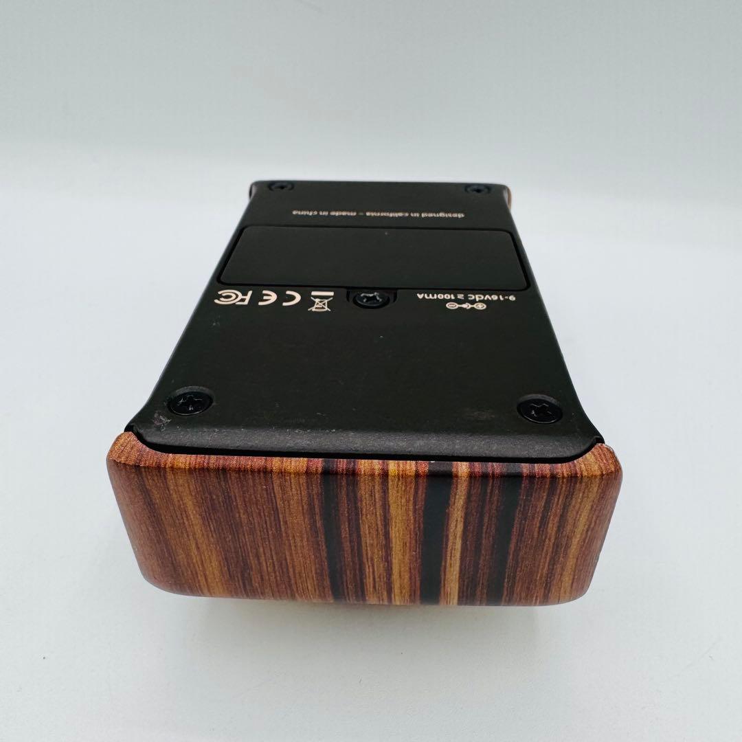 ギター L.R.Baggs ALIGN SERIES REVERB