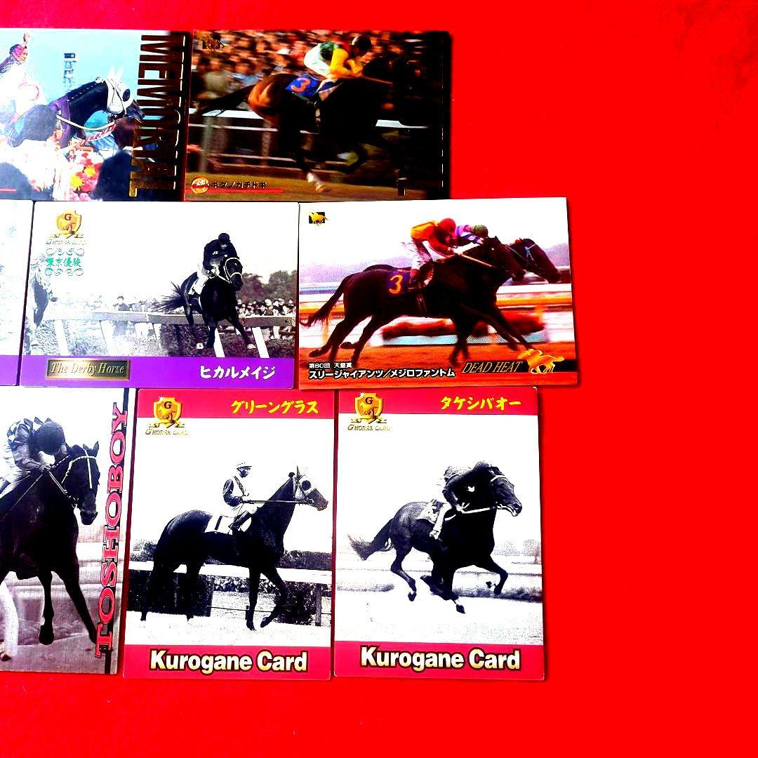 競馬サラブレッド・トレーディングカード・メモリアル，プレミアム含む