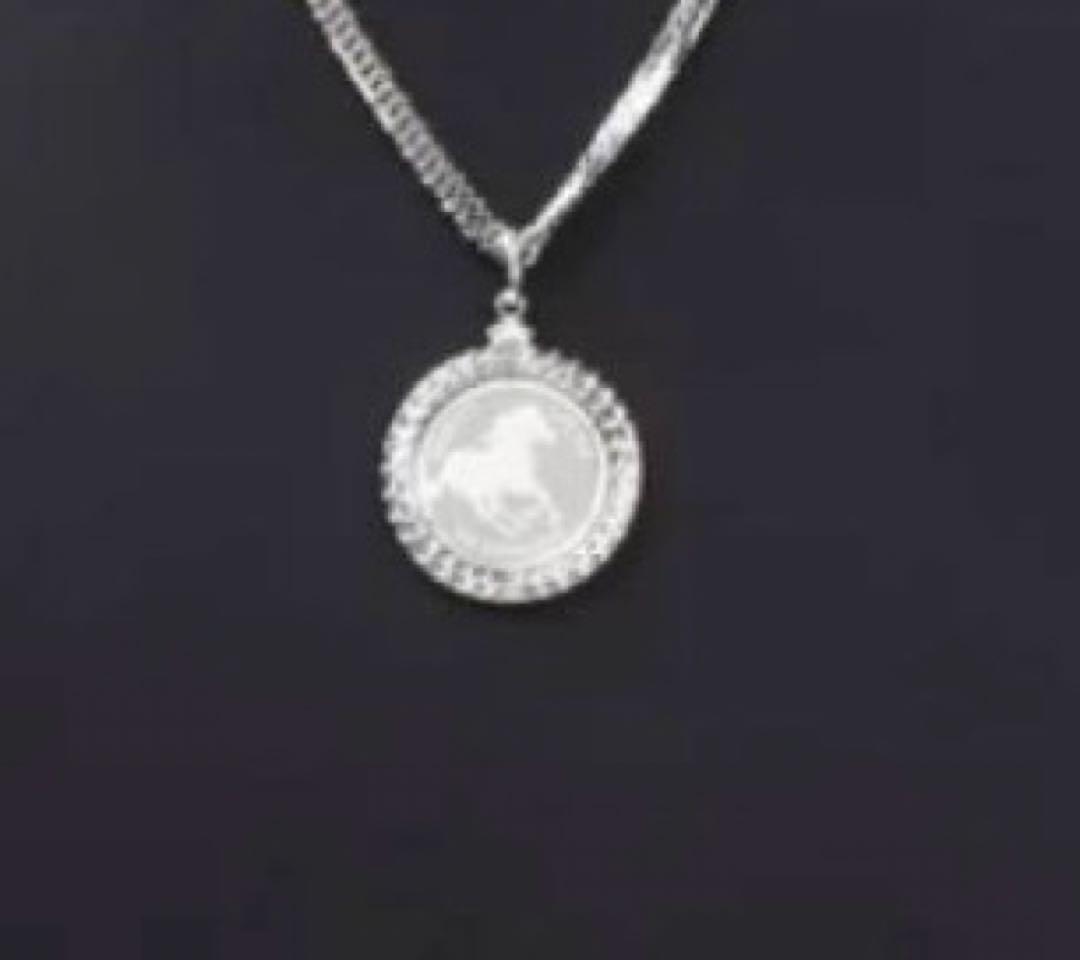 専用出品。プラチナネックレストップ。ペンダント 1/5オンス