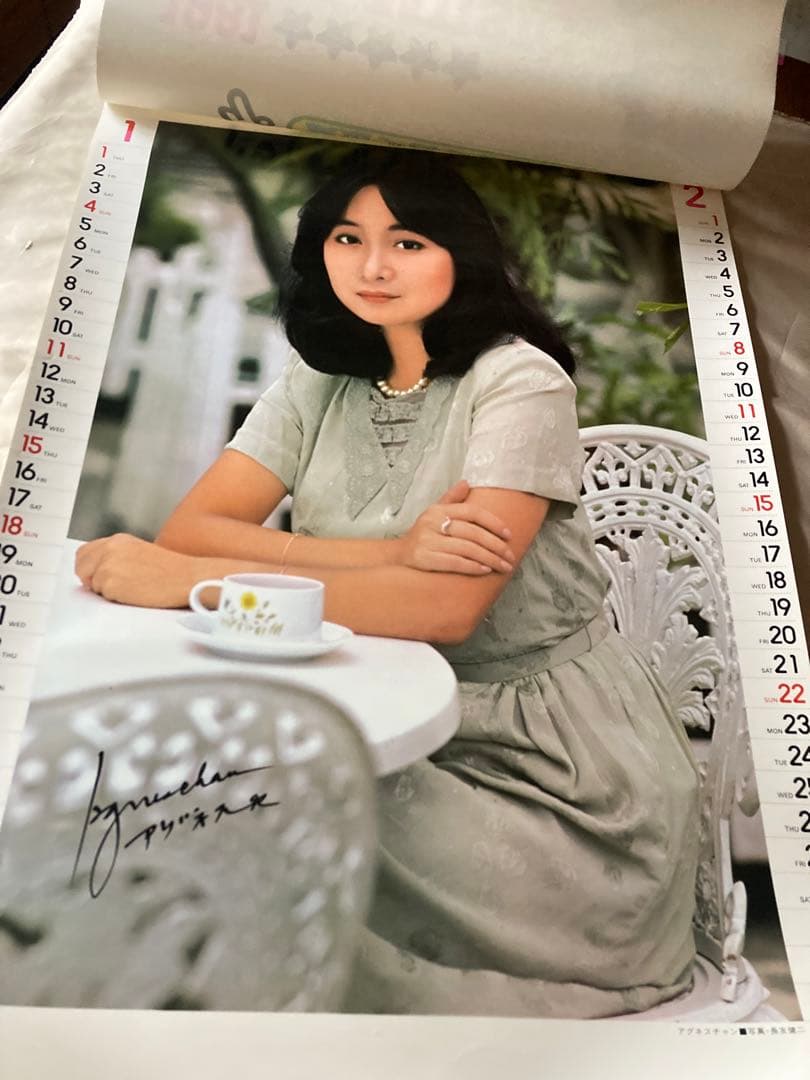 希少1981年 渡辺プロダクションカレンダー 沢田研二 石川ひとみ 太田