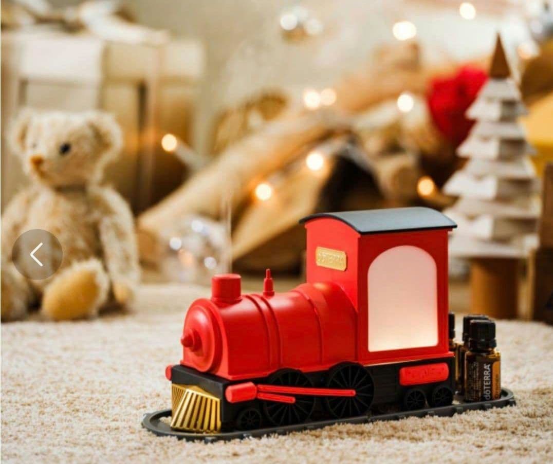 再値下♡未使用品限定ドテラdoTERRA　トレインディフューザー