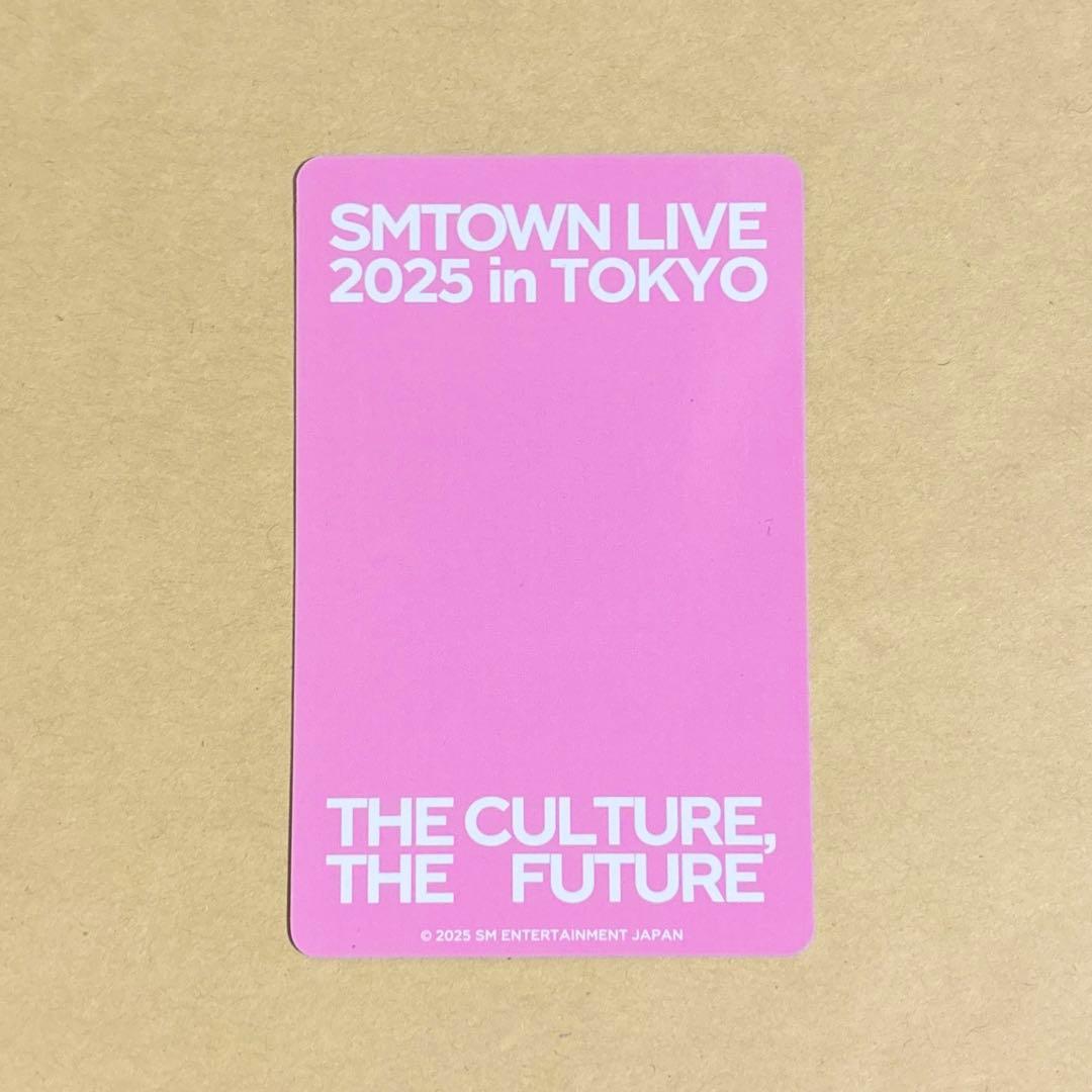 SMTOWN LIVE 2025 ラントレ RedVelvet アイリーン - メルカリ