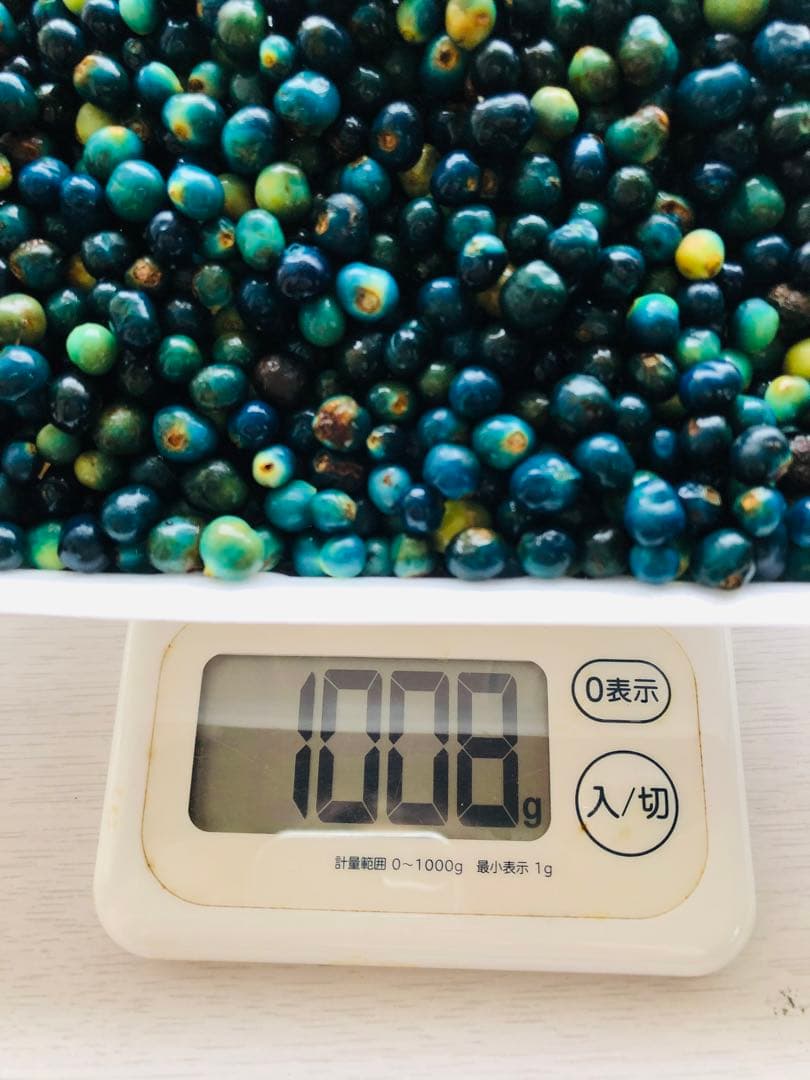 クサギの実　草木染め　1,008g クサギの実 草木染め 1,008g クサギの実 草木染め 1,008g クサギの実を