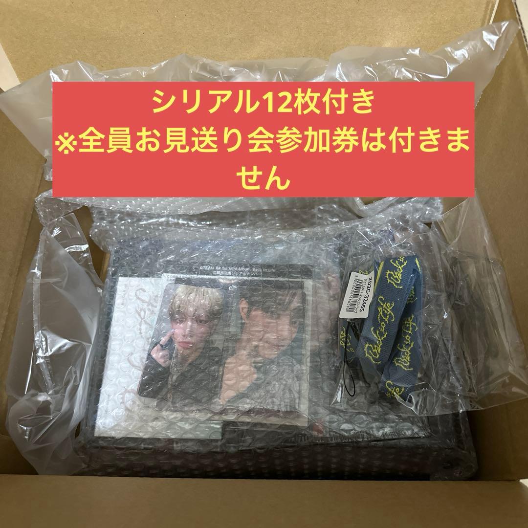 &TEAM Back to Life 12形態セット　シリアル12枚付き