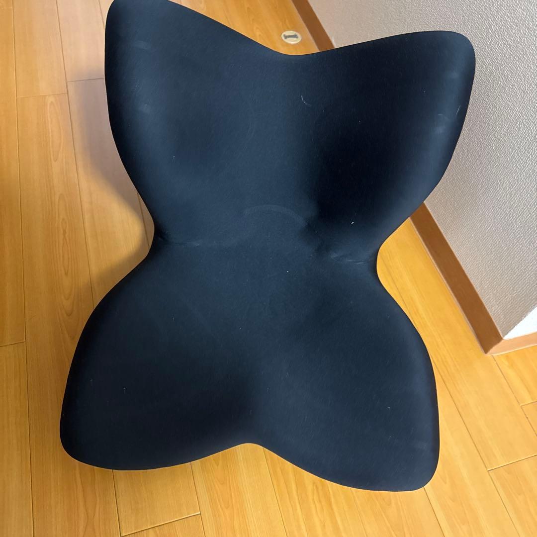 MTG Style プレミアム　姿勢矯正クッション ブラック