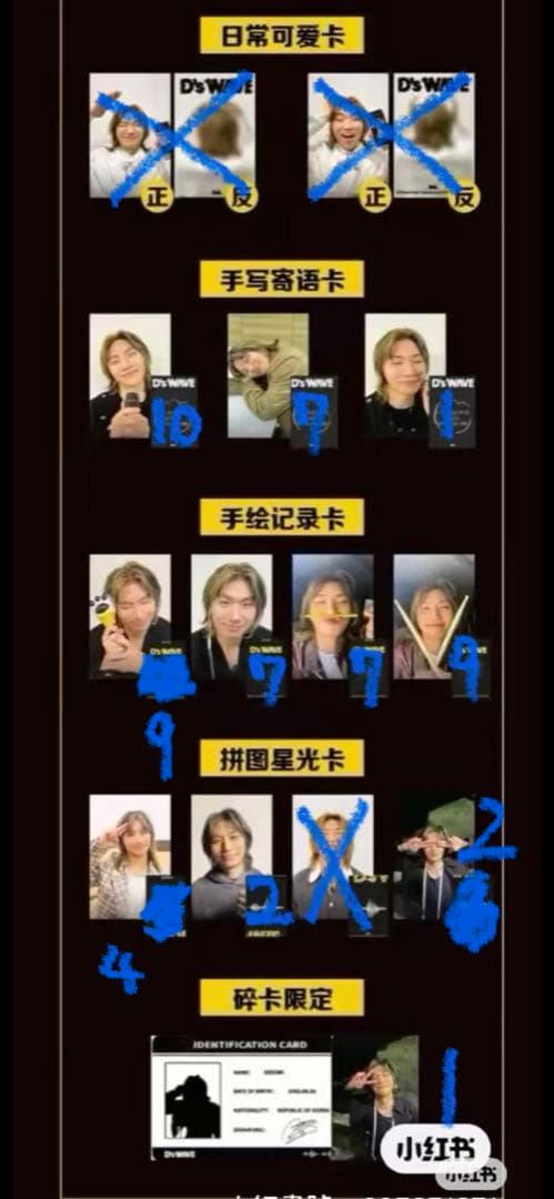 d-lite テソン　トレカ　中国限定