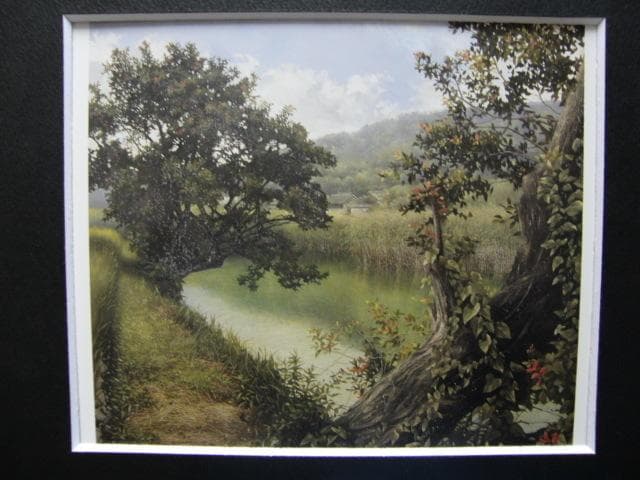 田中 芳照 【水郷】 希少画集画、状態良好、新品高級額装付