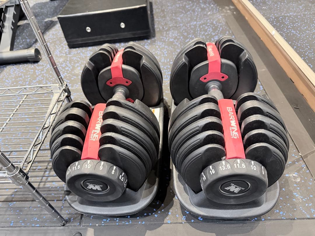 BOWFLEX 可変式ダンベル 24kg