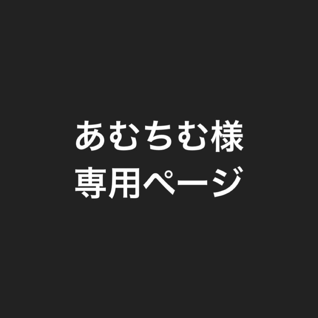 あむちむ様専用】 ミセス フォトカード 対バン コンプリート 46枚