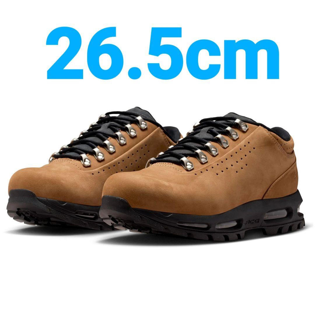 靴 Nike Air Max Goadome Low SP \