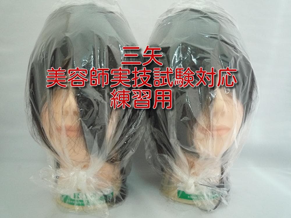 ②【2個セット】三矢 美容師 国家試験練習用 カットウィッグ カットウイッグ