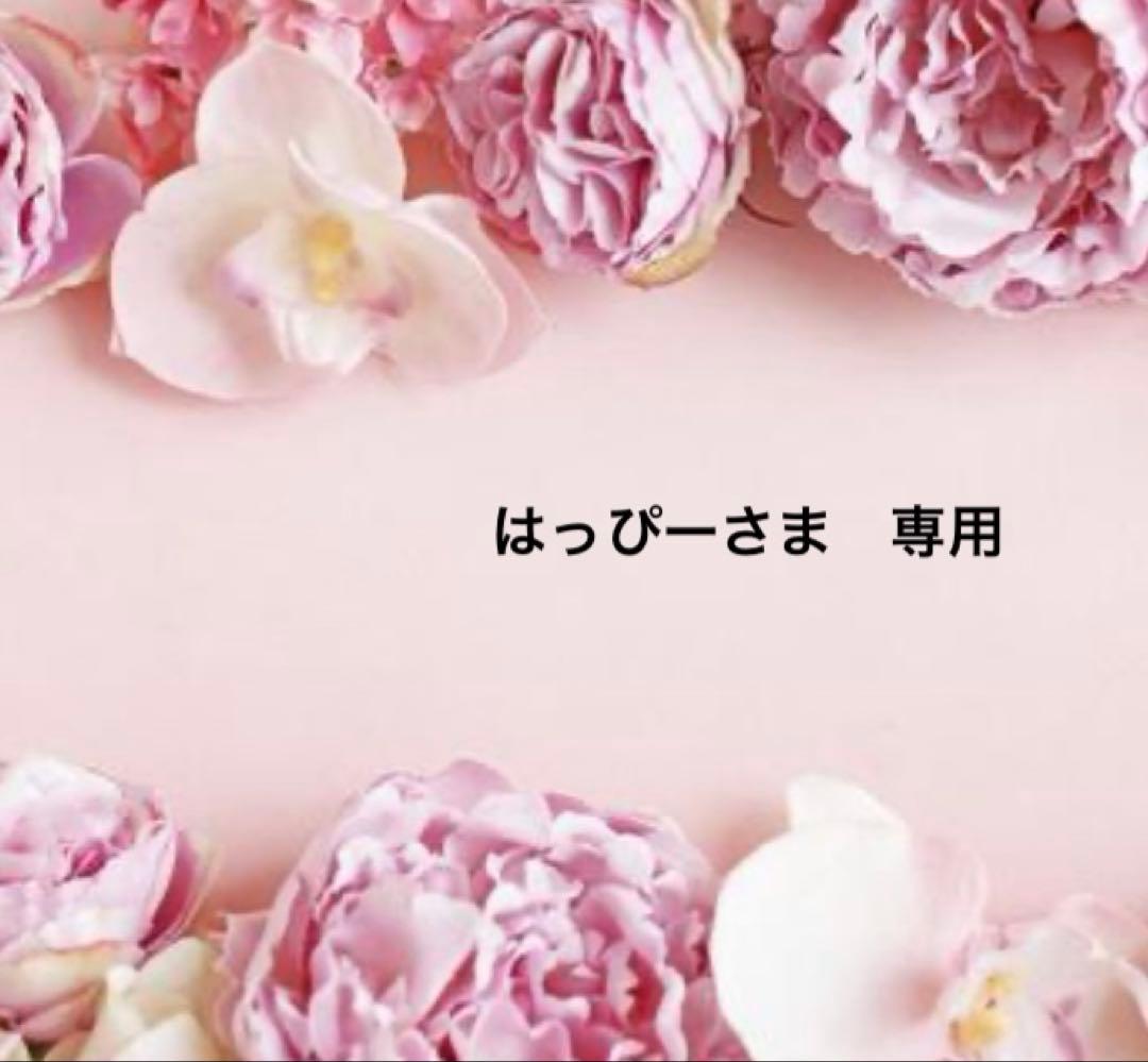 はっぴーさま専用ページです Z19963】モーニング娘。/ハッピーサマーウェディング - メルカリ