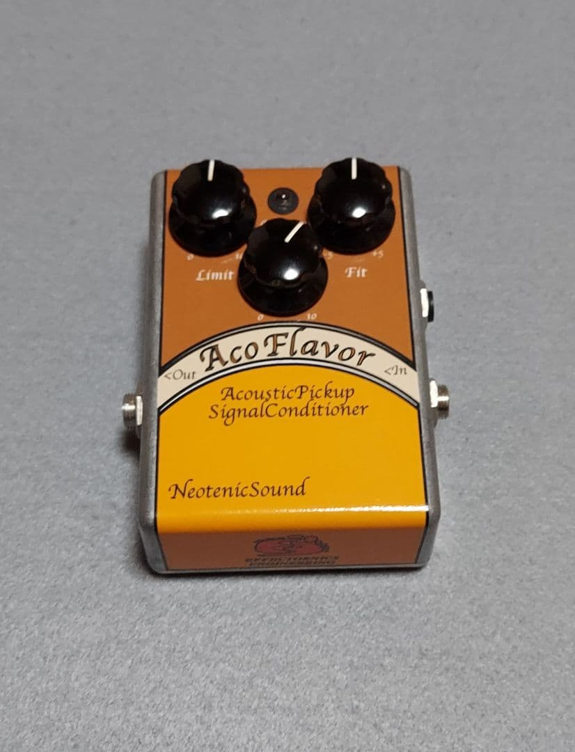 ギター NeotenicSound AcoFlavor