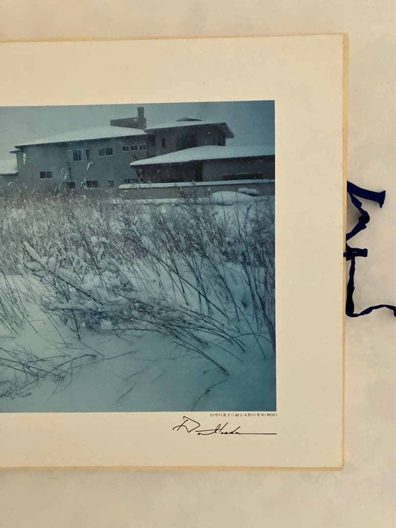 押印 池田大作写真集 平和と文化の光 創価学会名誉会長 vol 1〜5