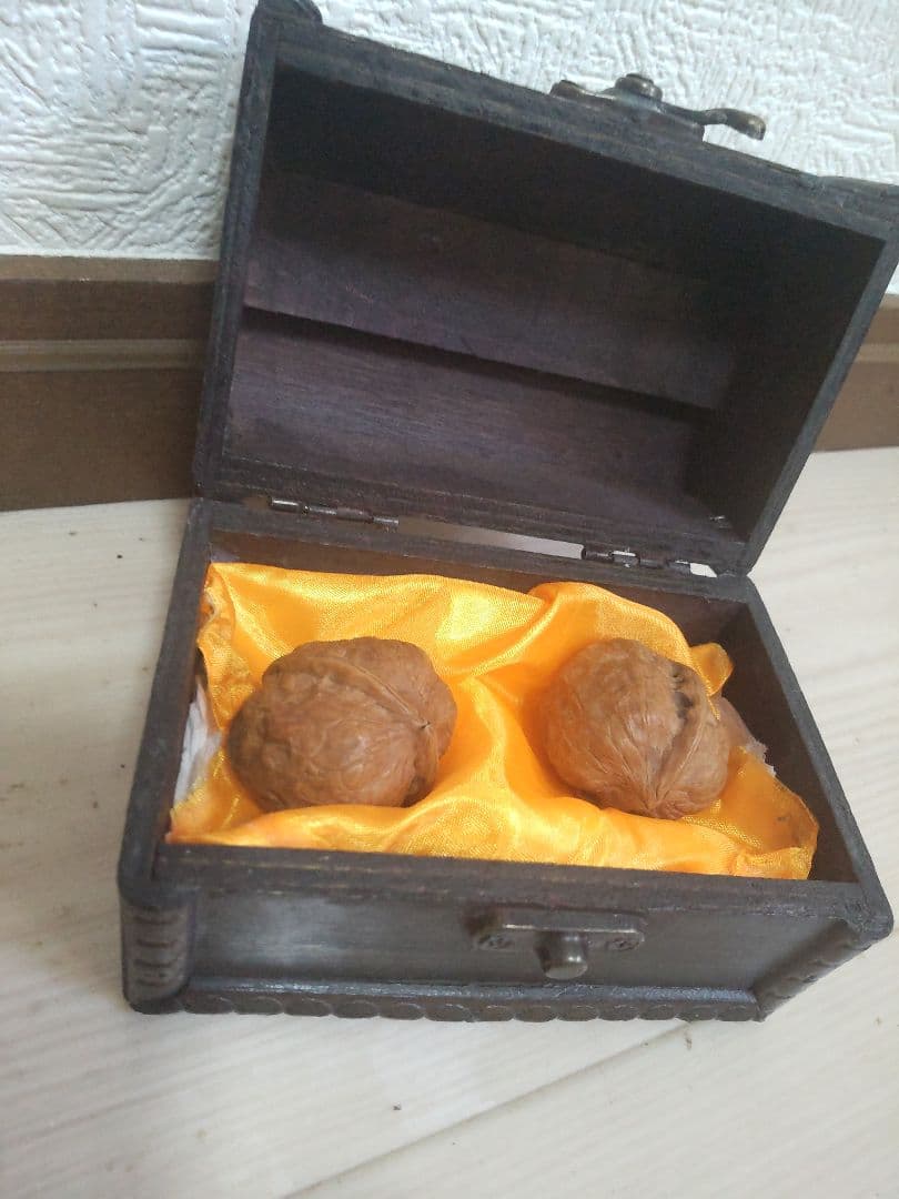 30年前からあるクルミ　専用ケース付