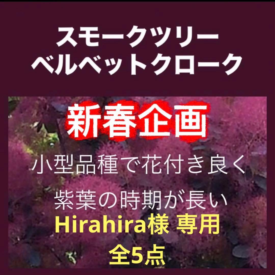 おまとめHirahira様 リクエスト 5点