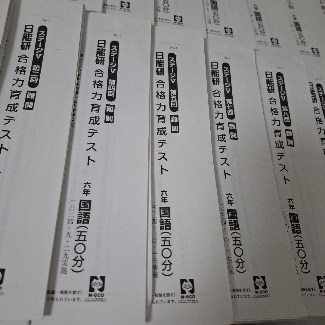 日能研 6年生 2024年度 学習力育成テスト 合格力育成テスト 【難関