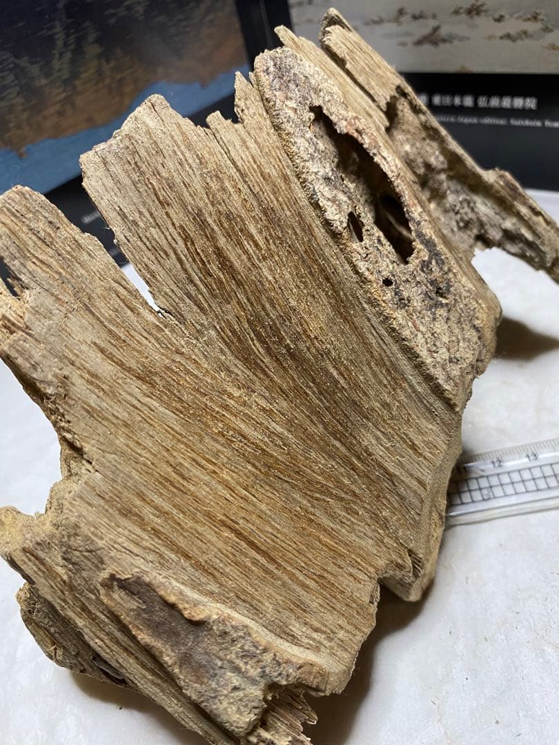 ベトナム産天然香木　希少良香馬蹄泥沈香162.7g 香道聞香用六国五味伽羅