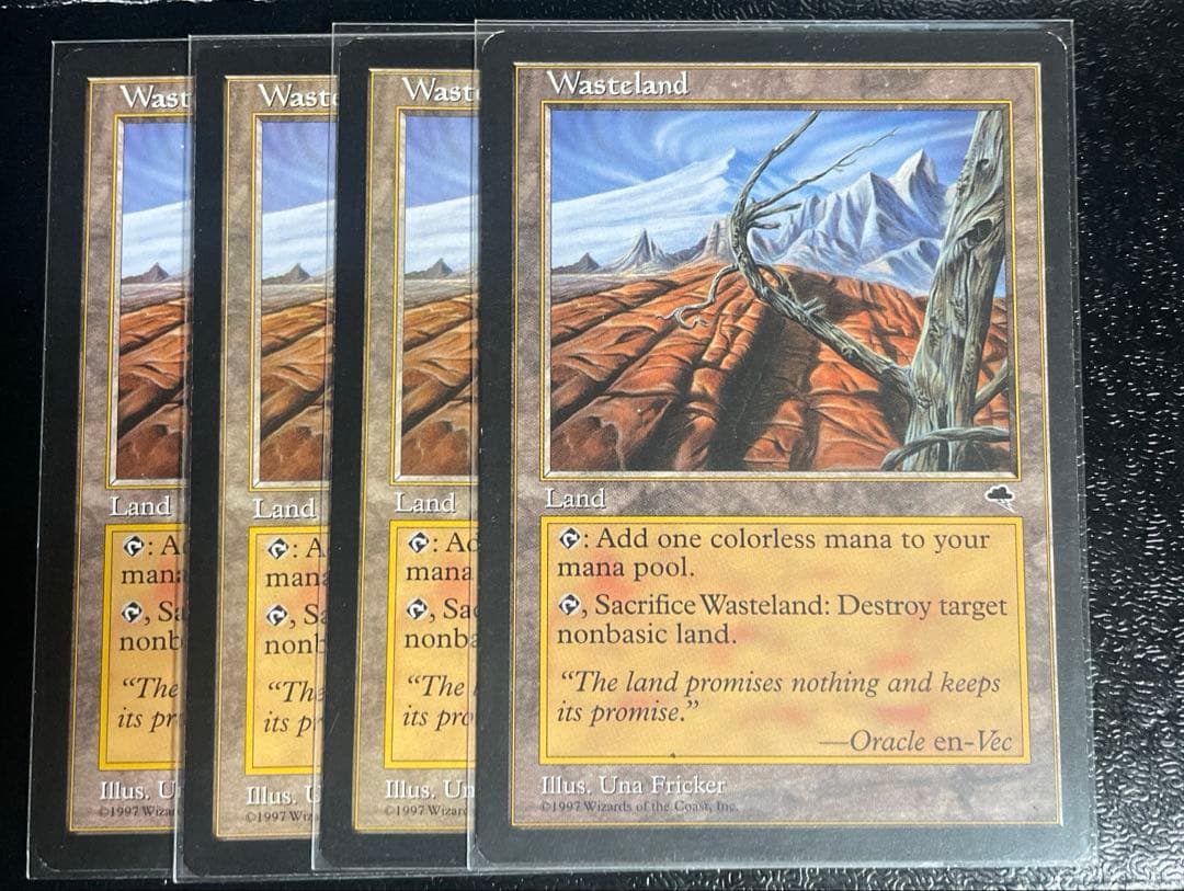 MTG Wasteland 不毛の大地　英語　4枚 MTG 不毛の大地 - Wasteland - サイン入 - メルカリ