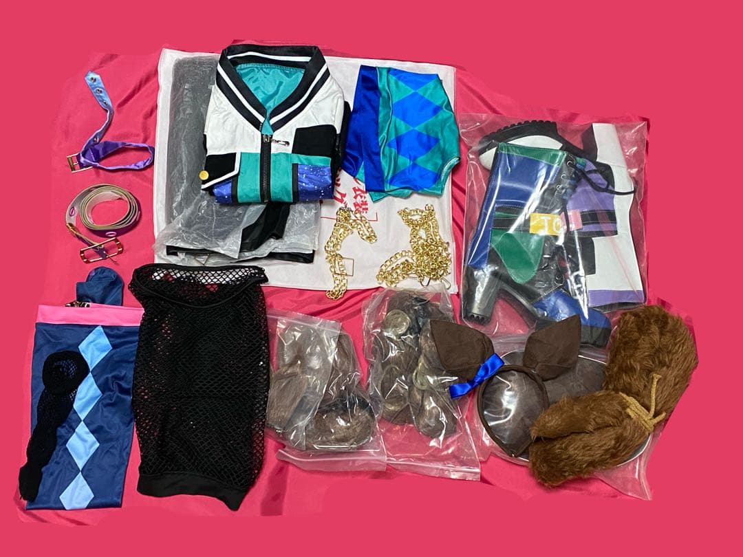 【ワケ有り】ウマ娘トーセンジョーダン　コスプレ