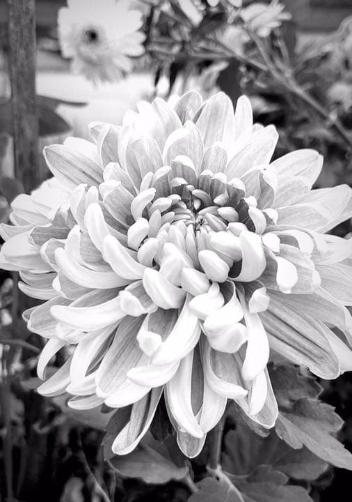 Hiep。エターナルタトゥーインク16色セット。 ETERNAL INK エターナルインク タトゥーインク 最重要 トップ 25色