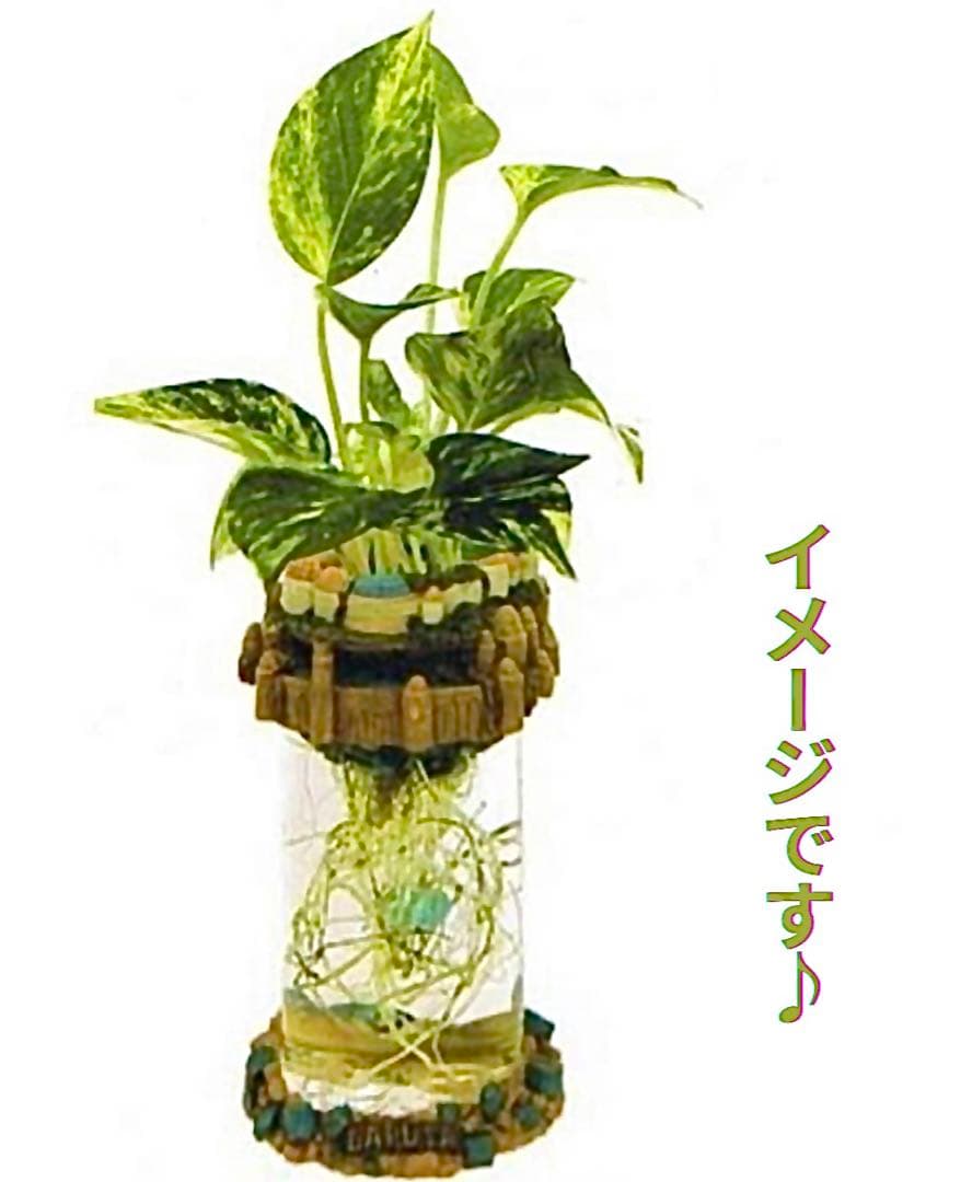 廃盤】ラピュタ・ウォータープランター、天空の城ラピュタ - メルカリ