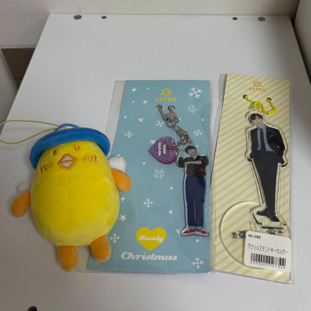 2枚目あり　ASTR ユンサナROROHA ぬいぐるみ ASTRO ROROHA PPUPPU ぬいぐるみ(ユンサナ) - メルカリ