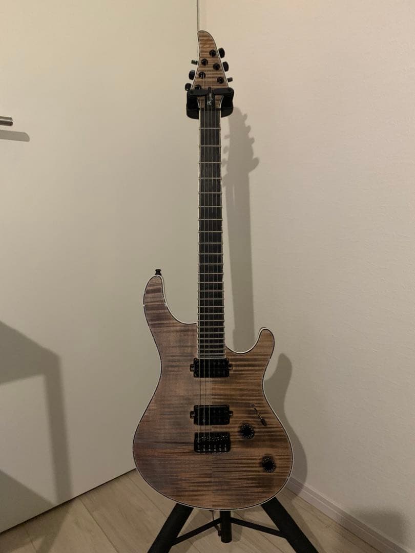 ギター MAYONES Regius 6K [custom order model]