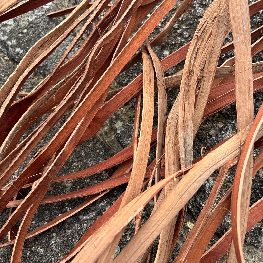 国産山葡萄ヒゴ