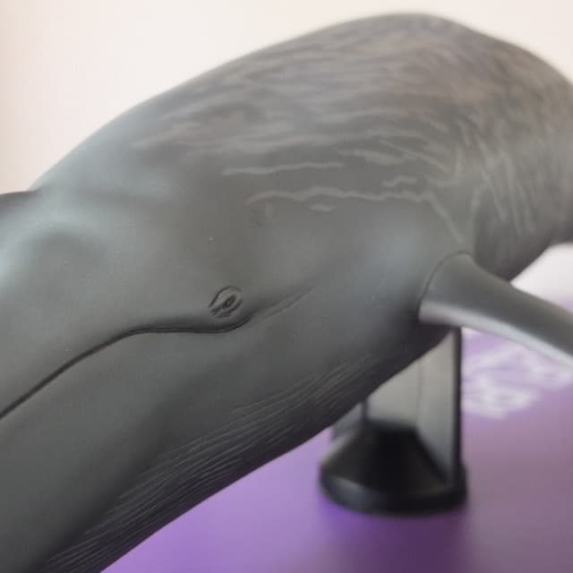 海洋堂]メガソフビアドバンス MSA-004 シロナガスクジラ☆全長70cm