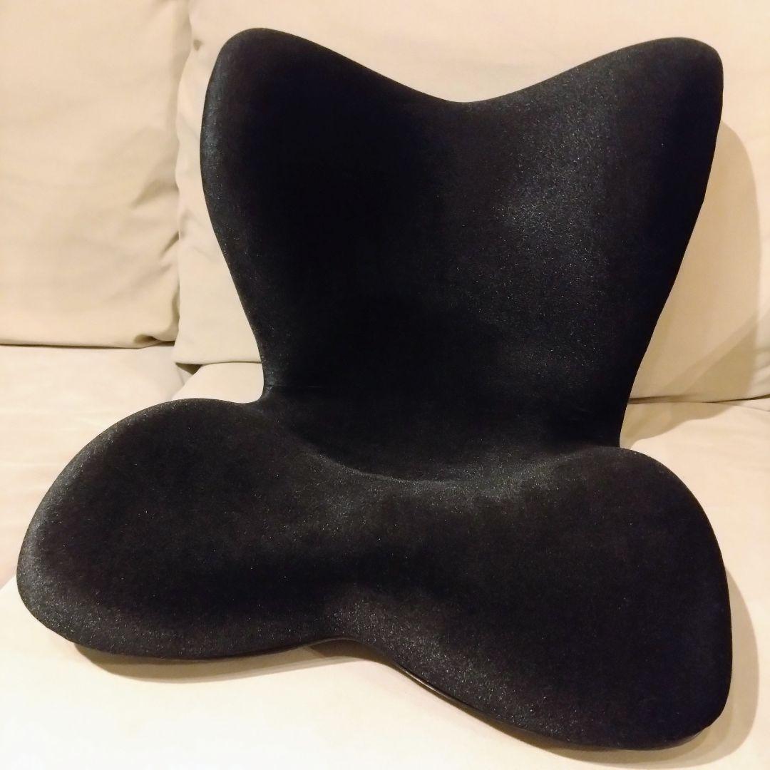 【美品】Style PREMIUM DX スタイルプレミアムデラックス　ブラック