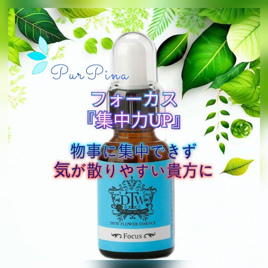 【専用】エイジレスラスター（年齢不詳）《DTWフラワーエッセンス》フォーミュラ他