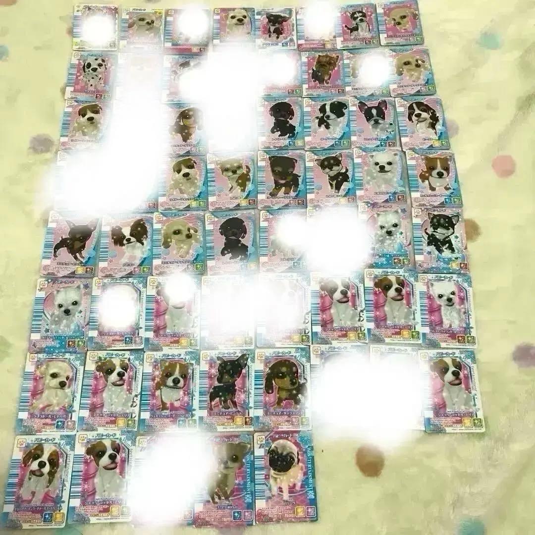 ワンタメ　カード　パピーカード ワンタメ パピーカード パピヨンの通販 by 桜姫's shop｜ラクマ