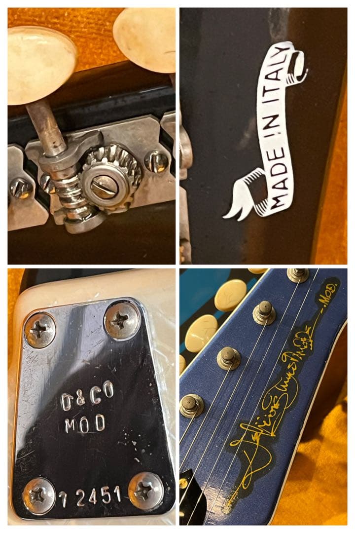 DeliciousTaylormade MOD 1960s弾きたいビザールLPB