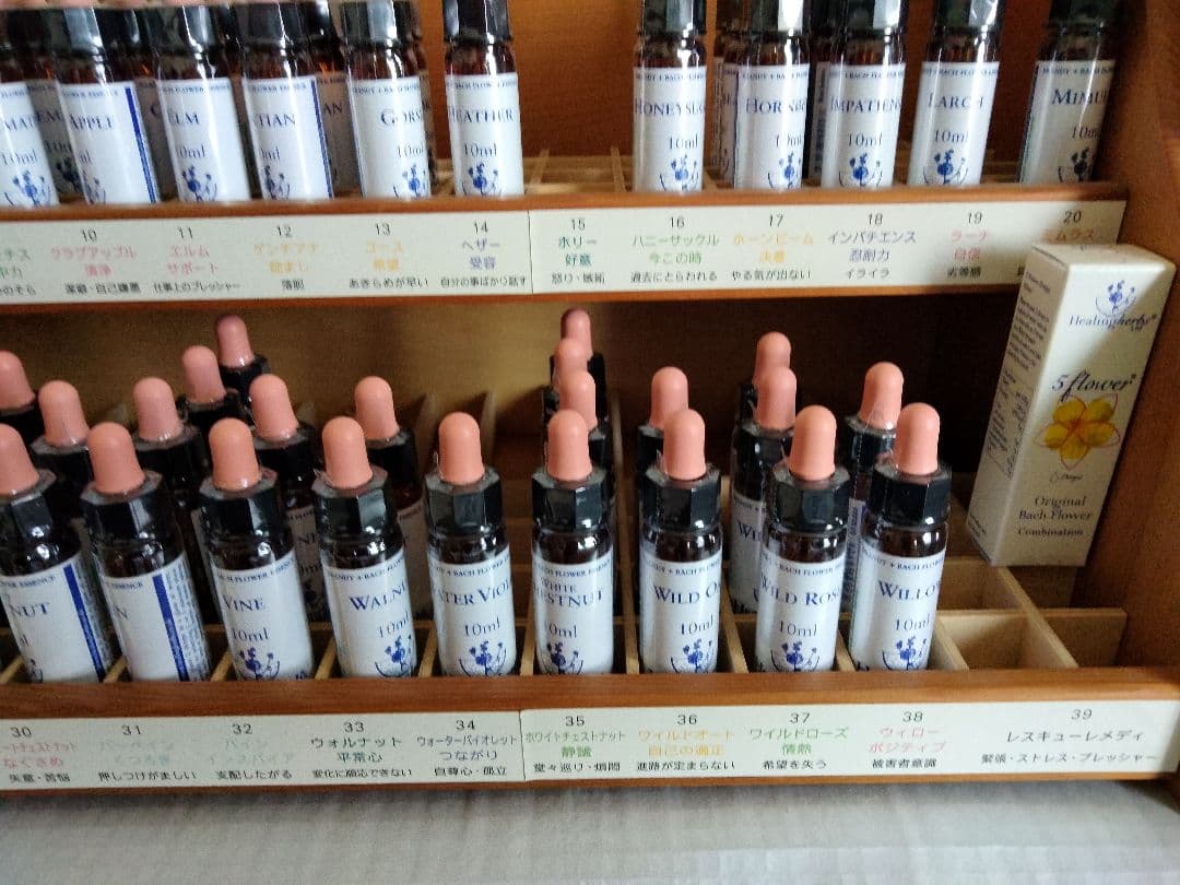 ことり様■ ビーチ ミムラス マスタード スターオブベツレヘム ワイルドオート