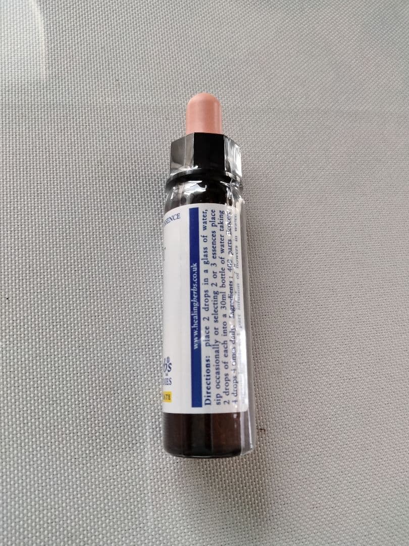 ことり様■ ビーチ ミムラス マスタード スターオブベツレヘム ワイルドオート