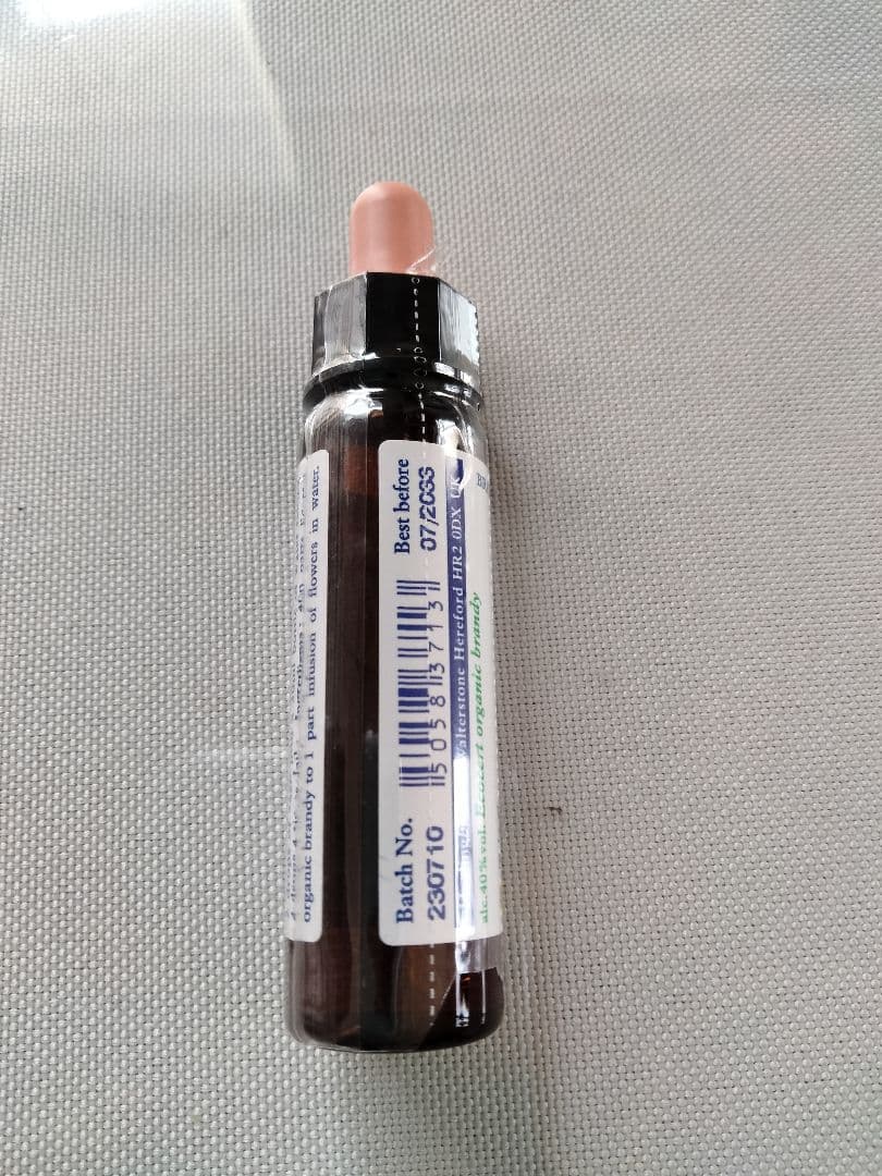 ことり様■ ビーチ ミムラス マスタード スターオブベツレヘム ワイルドオート