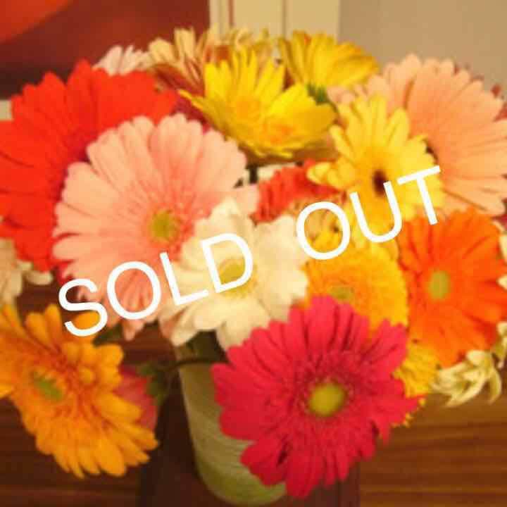 スティドリーム❗️THE BODY SHOP  シャワージェル