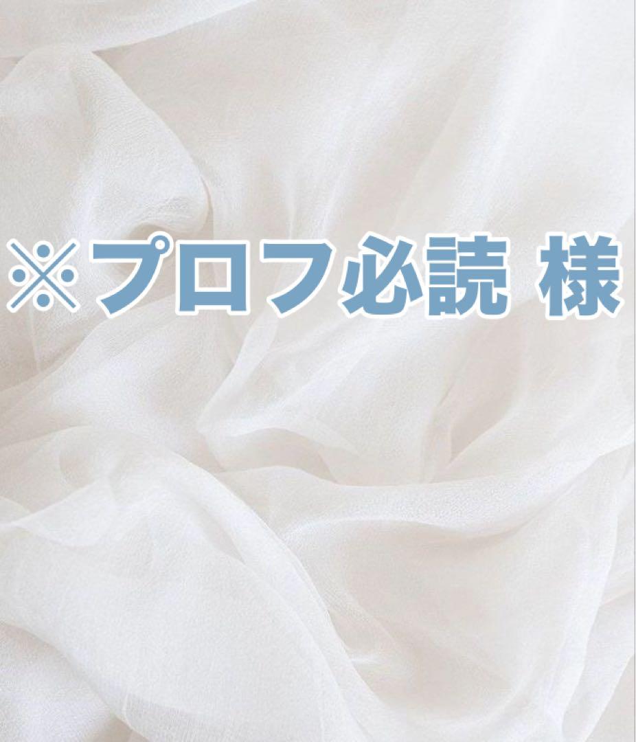 ※プロフ必読 様