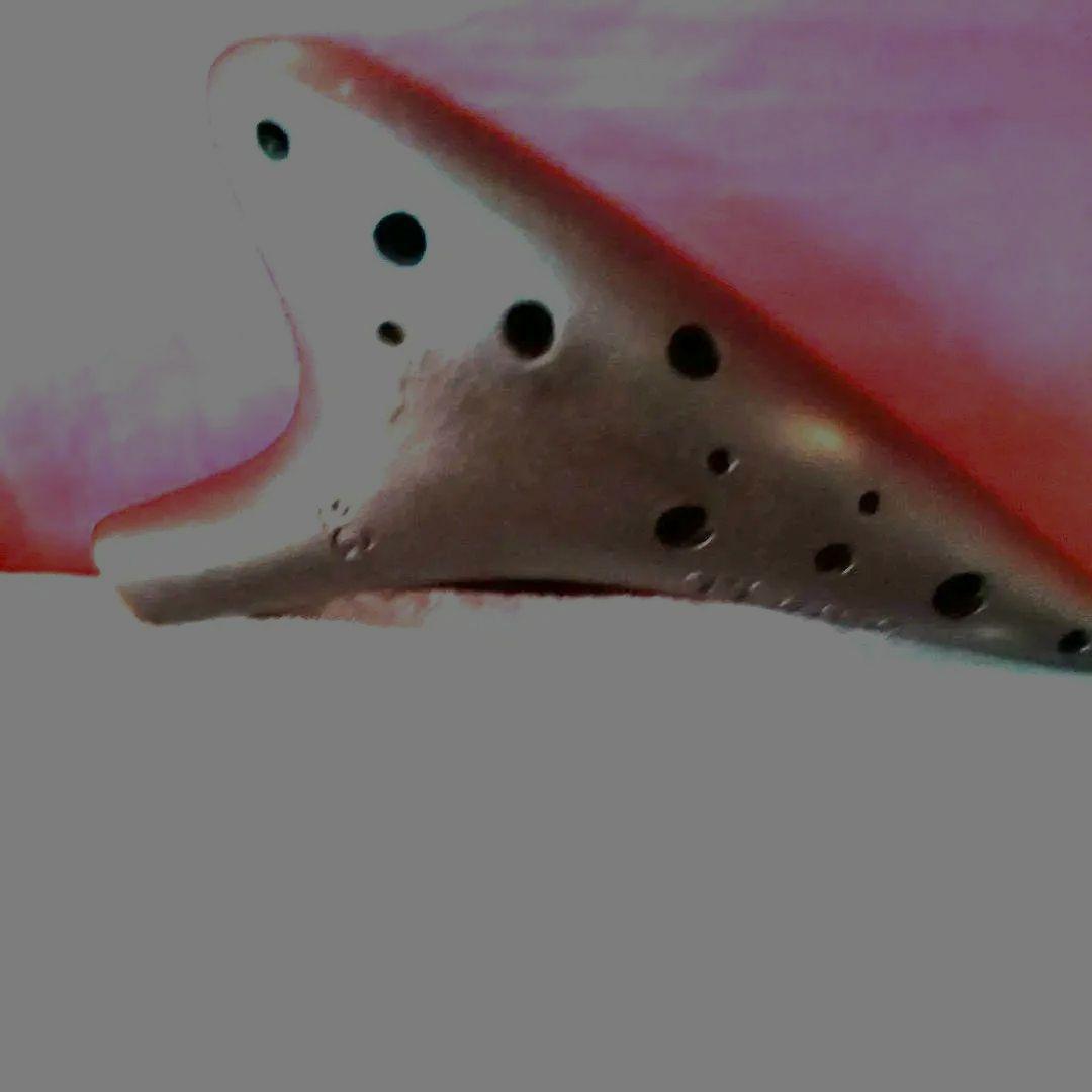 Tiamo 黒いオカリナ 三角形★ケース付き imgrc0159579071.jpg