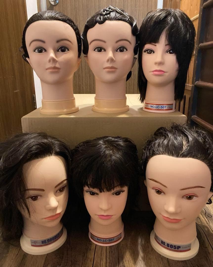 美容師 国家試験 練習用 練習済み カット ワインディング ウィッグ 6体