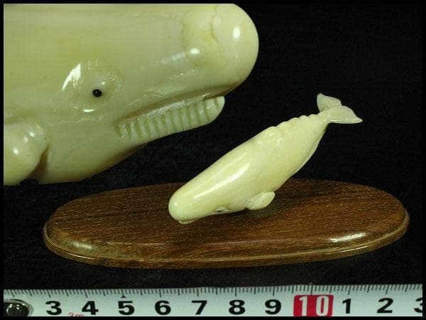 抹香鯨 歯 細密 彫刻 鯨 置物 根付 台付(K-A995)