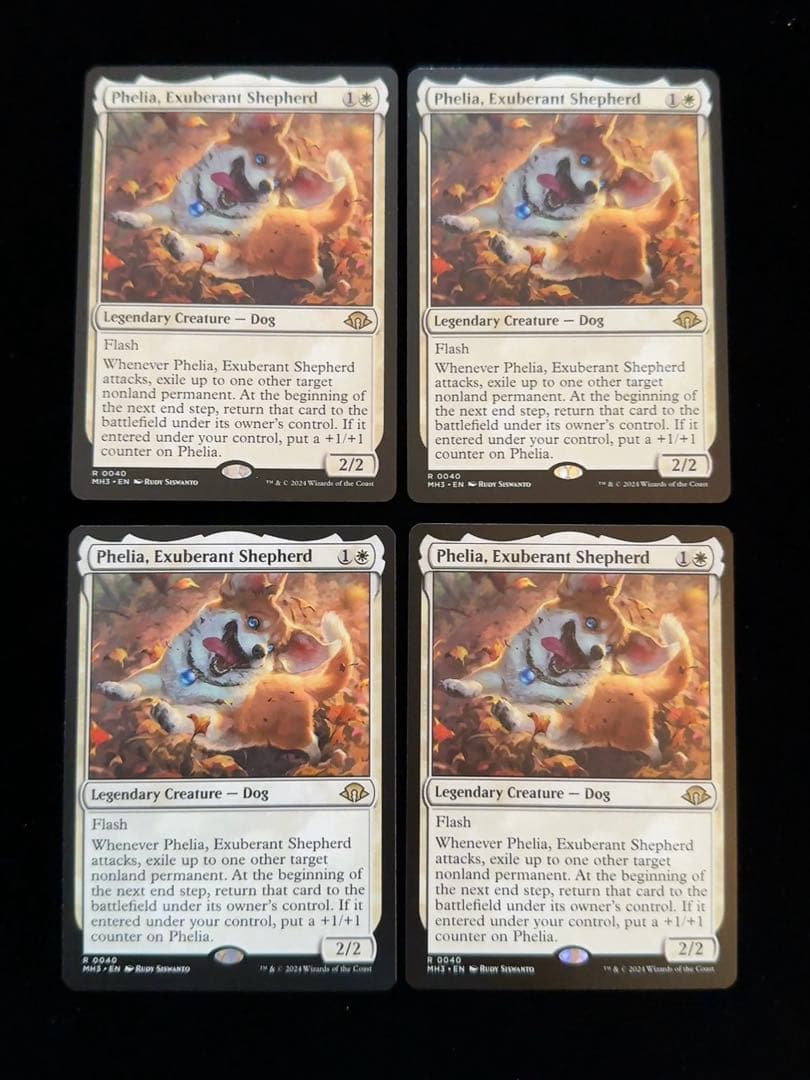 溌剌の牧羊犬、フィリア 英語 4枚セット - メルカリ