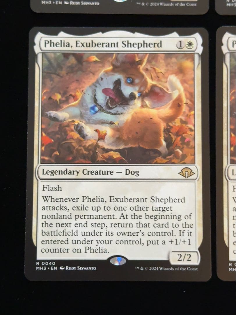 溌剌の牧羊犬、フィリア 英語 4枚セット - メルカリ