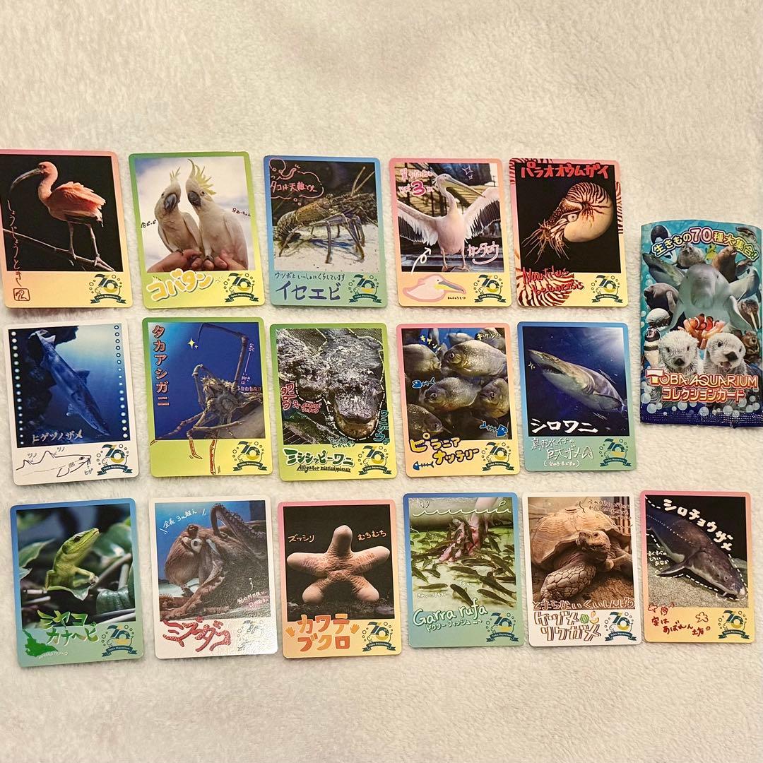 りぃあ様専用】鳥羽水族館70周年コレクションカード - メルカリ